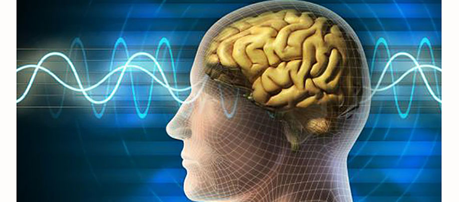 Human brain signals