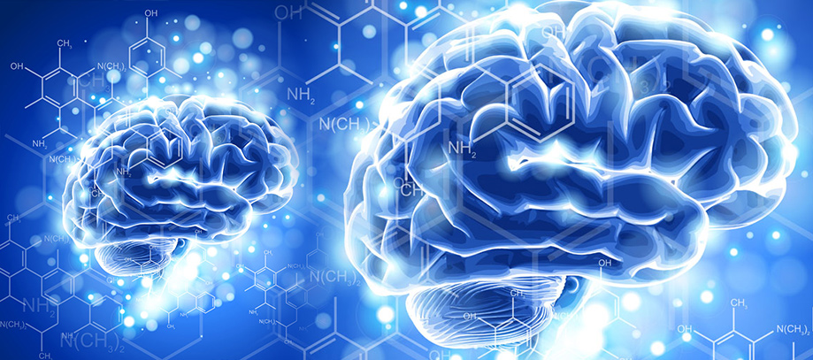 Brain biochemicals